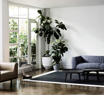 Bringing a Residential Aesthetic to the Workplace