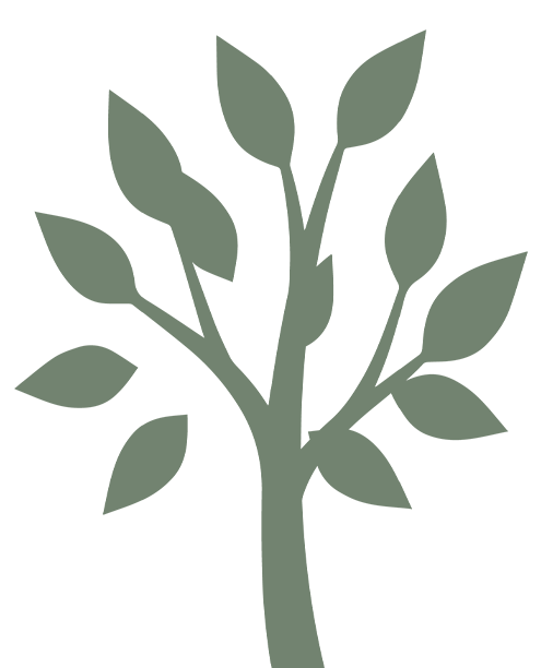One Tree Planted Program